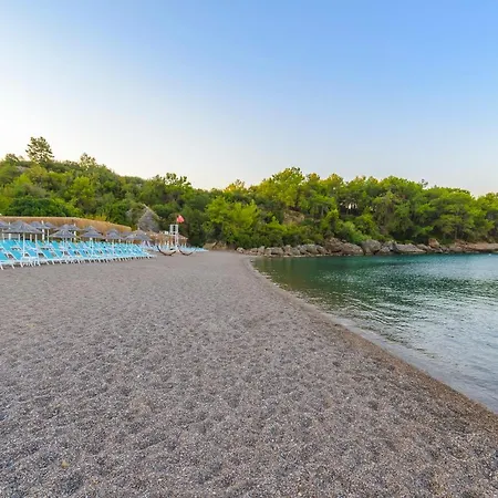 Hotell Litore & Okurcalar